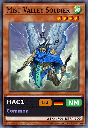 Nebeltal soldat hac1 058 - hac1-058, 1st